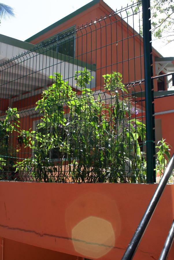 Le Cocon Hotel Le Moule Exterior photo